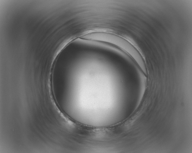 X0000054440906200508121841