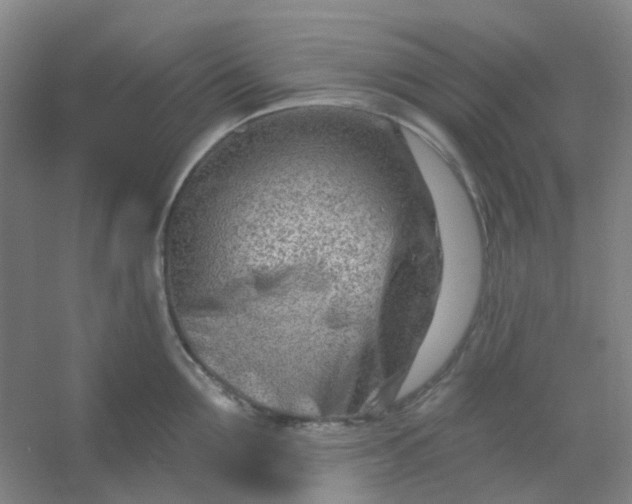 X0000054440907200508121841