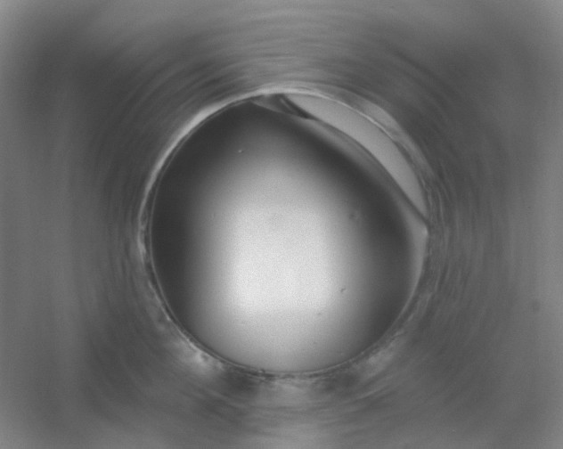 X0000054440908200508121841