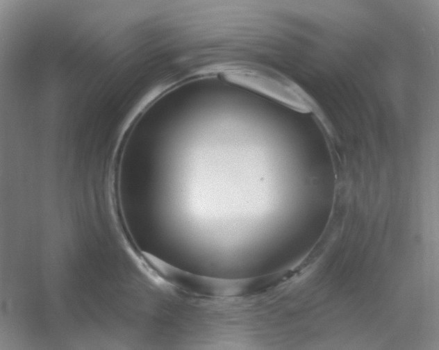 X0000054440909200508121841