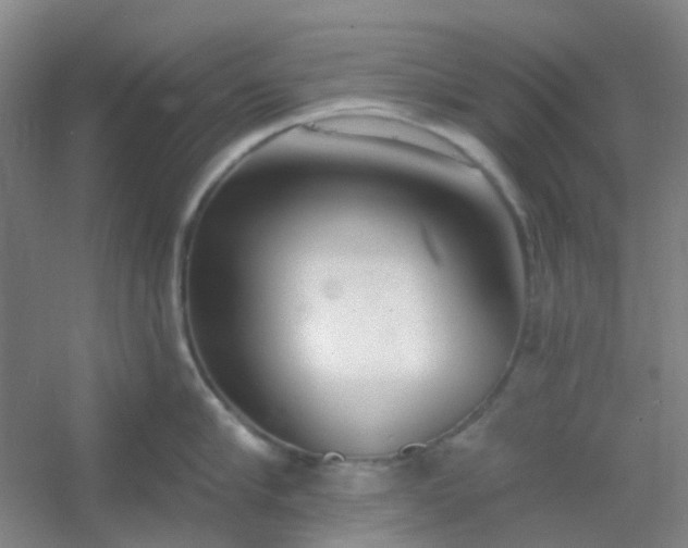 X0000054440910200508121841