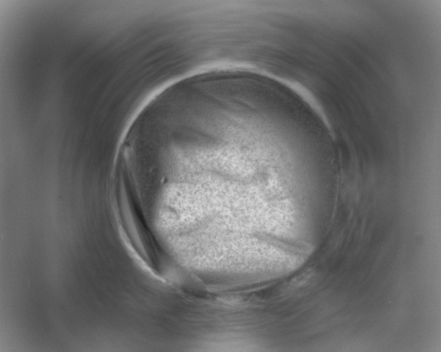 X0000054440911200508121841