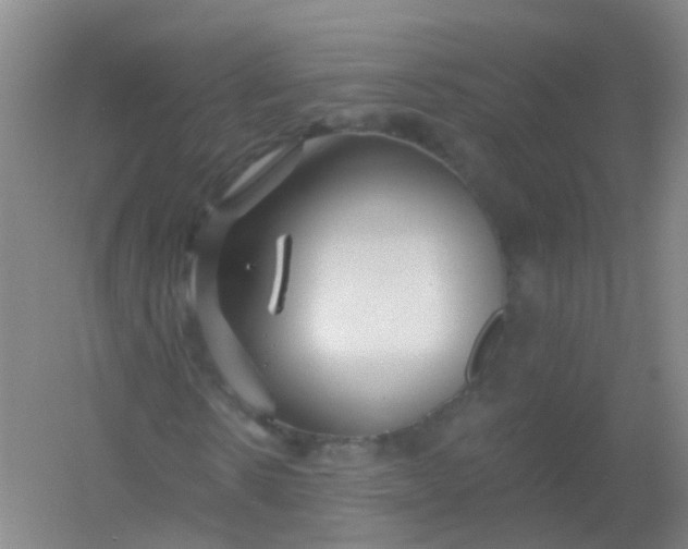 X0000054440914200508121840