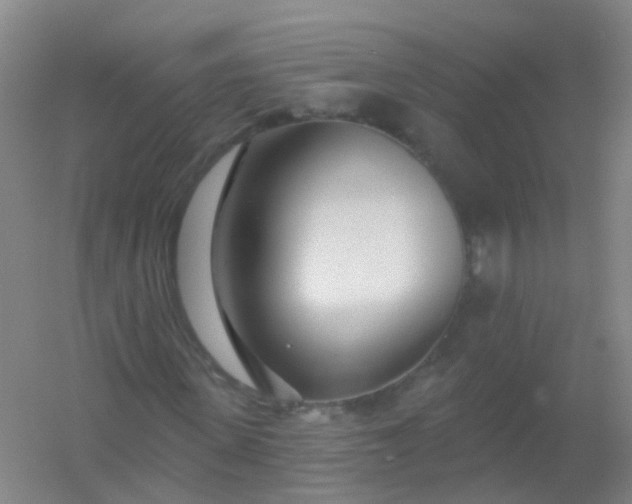 X0000054440915200508121840