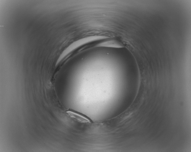 X0000054440916200508121840