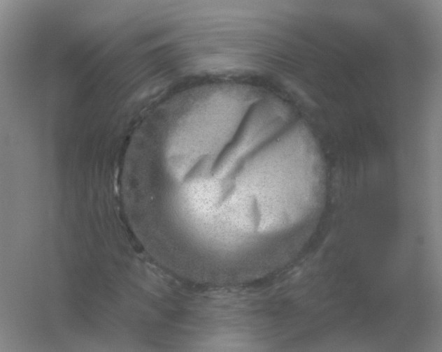 X0000054440917200508121840