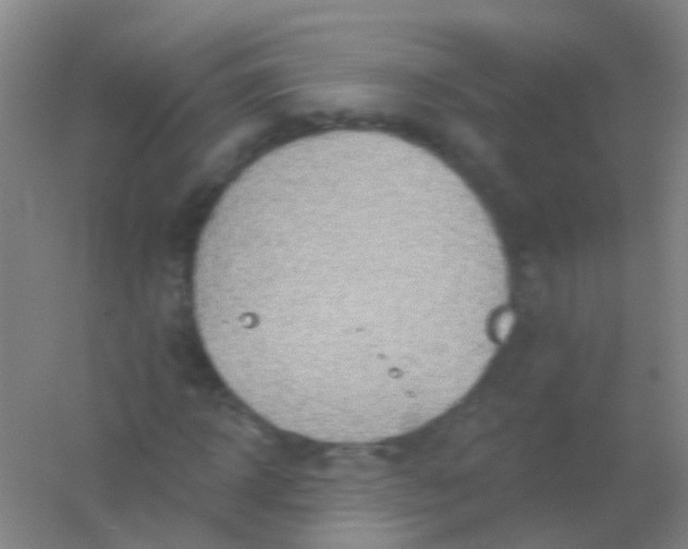 X0000054440918200508121840