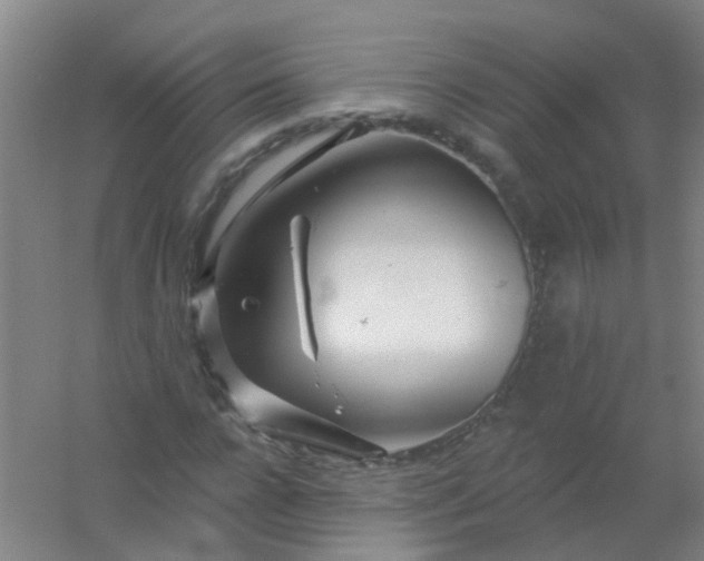 X0000054440920200508121840