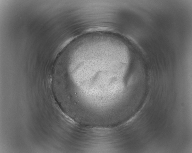 X0000054440921200508121840