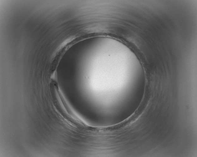 X0000054440922200508121841