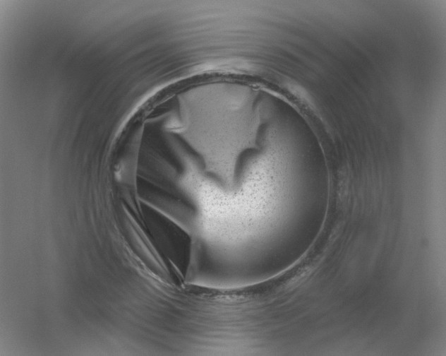 X0000054440923200508121841