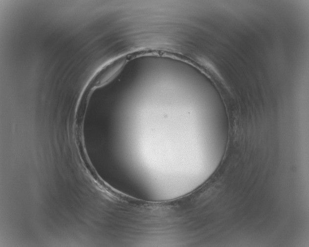 X0000054440924200508121841