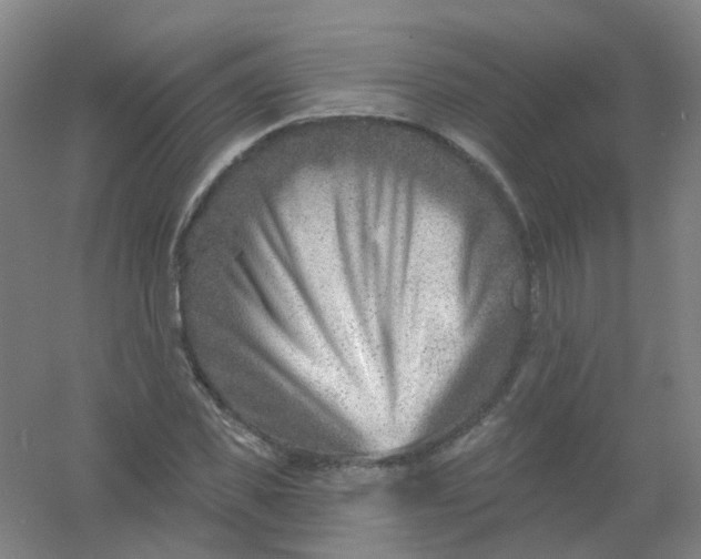 X0000054440925200508121841