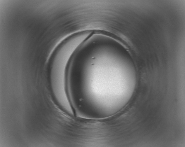 X0000054440926200508121841