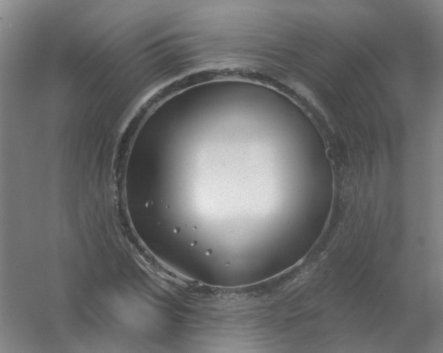 X0000054440927200508121841