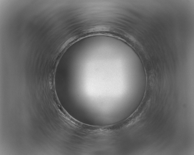 X0000054440929200508121841