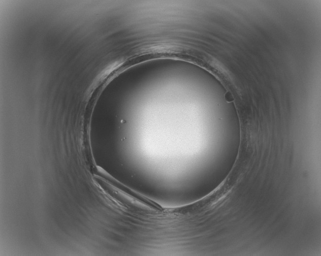 X0000054440930200508121841