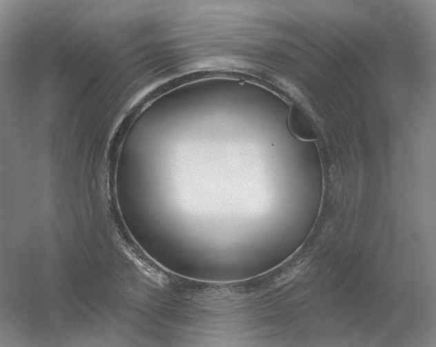 X0000054440931200508121841