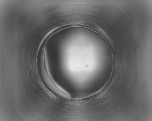 X0000054440932200508121841