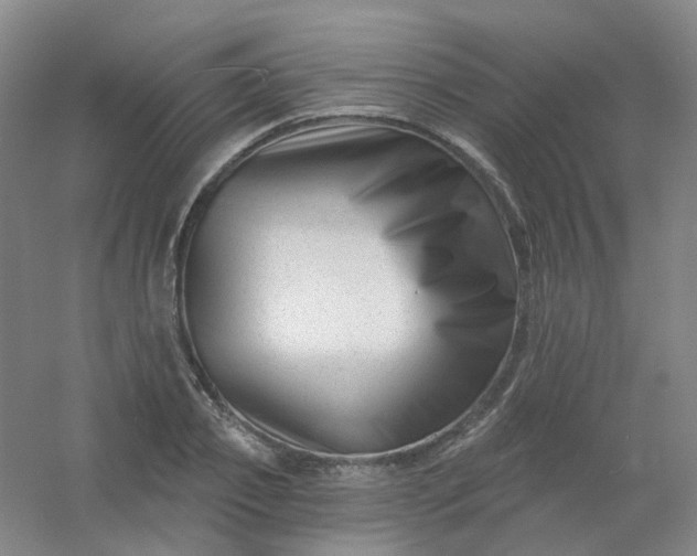 X0000054440933200508121841