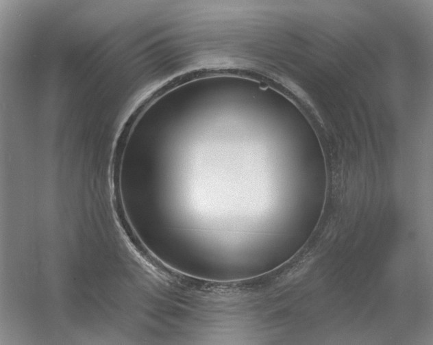 X0000054440935200508121841