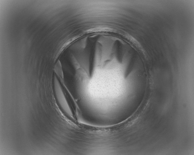 X0000054440937200508121841