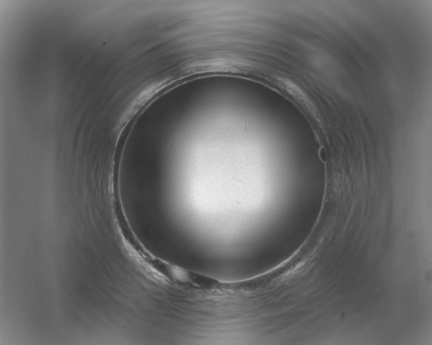 X0000054440938200508121841