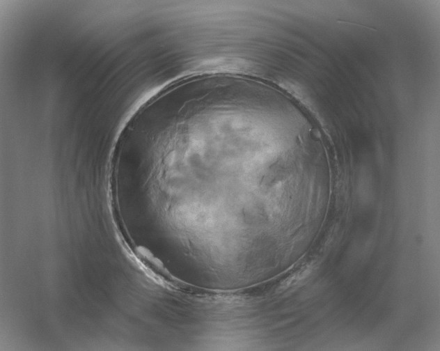 X0000054440941200508121841