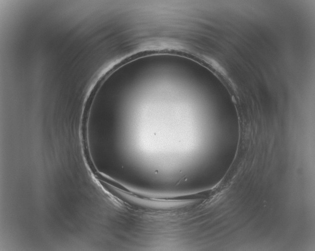 X0000054440943200508121841