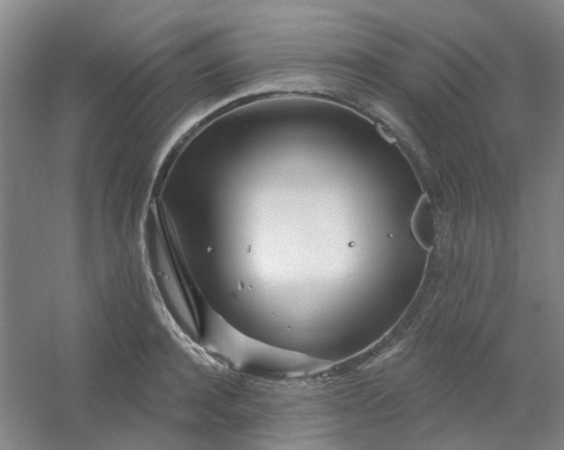 X0000054440944200508121841