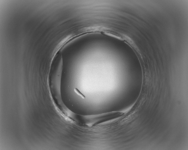 X0000054440946200508121841