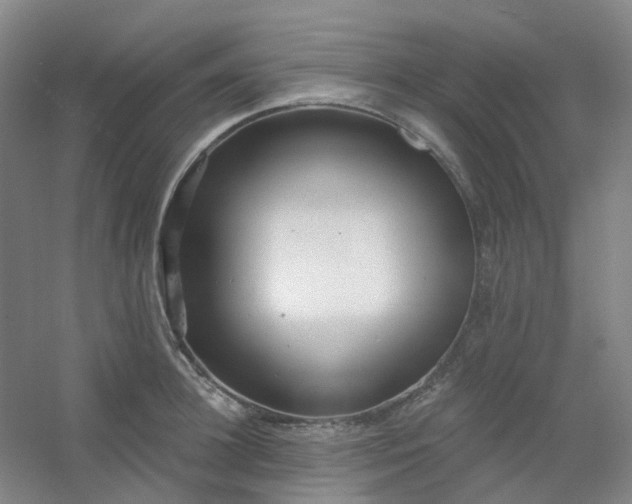 X0000054440948200508121841