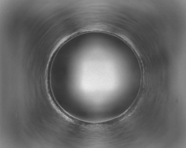 X0000054440949200508121841