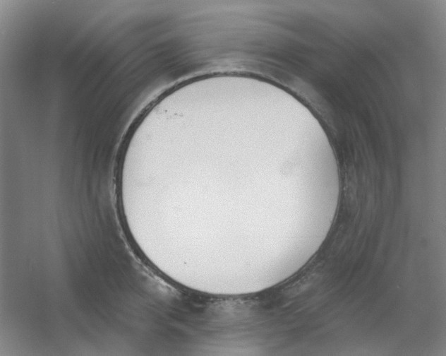 X0000054440950200508121841