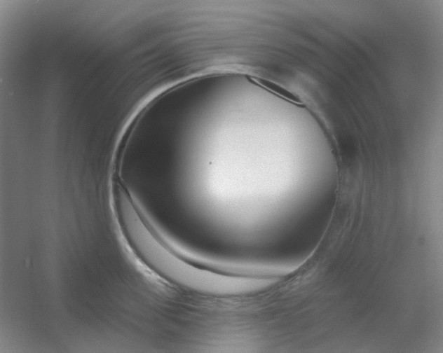 X0000054440955200508121841