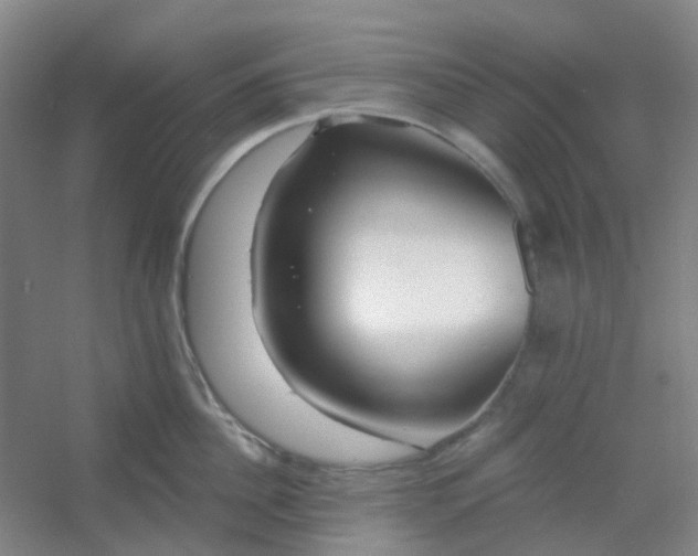 X0000054440956200508121841