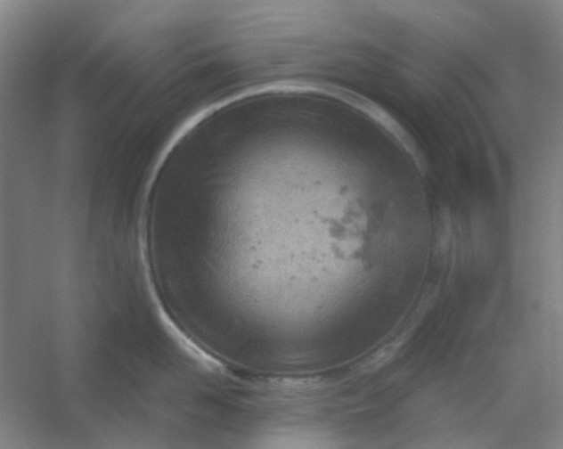 X0000054440958200508121841