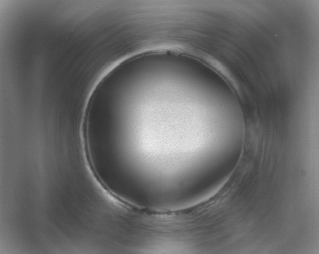 X0000054440959200508121841