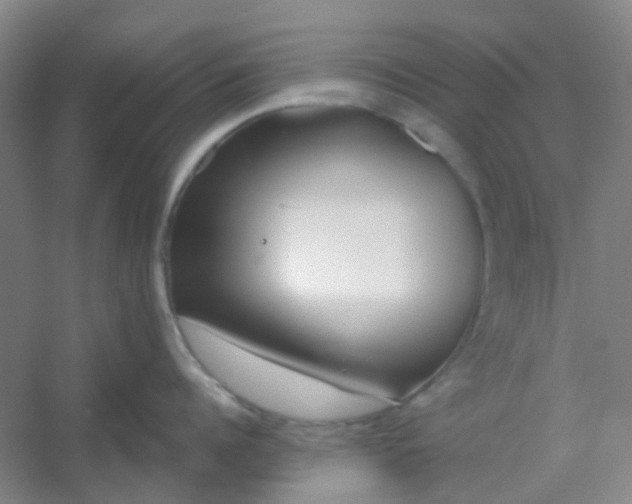 X0000054440960200508121841