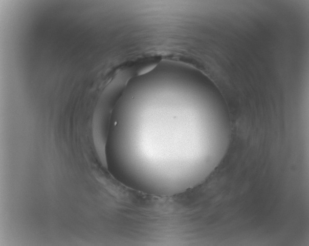 X0000054440961200508121840