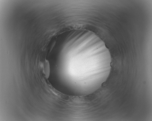 X0000054440962200508121840