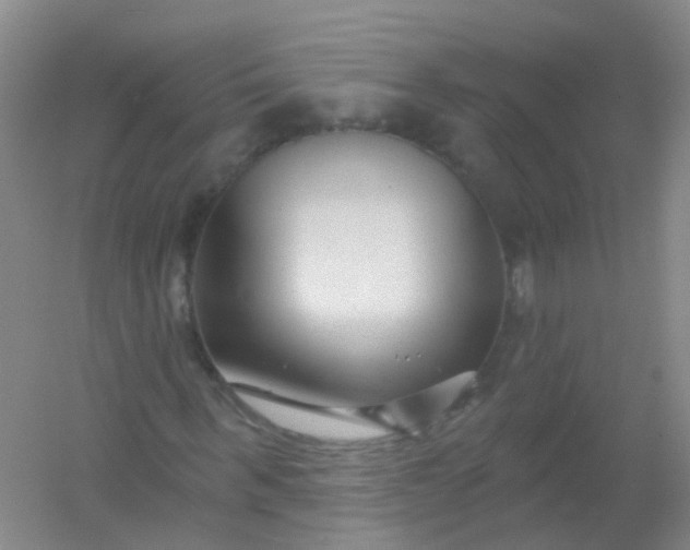 X0000054440963200508121840