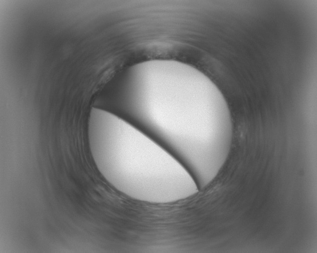 X0000054440964200508121840