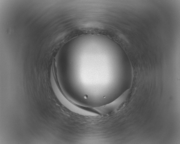 X0000054440965200508121840