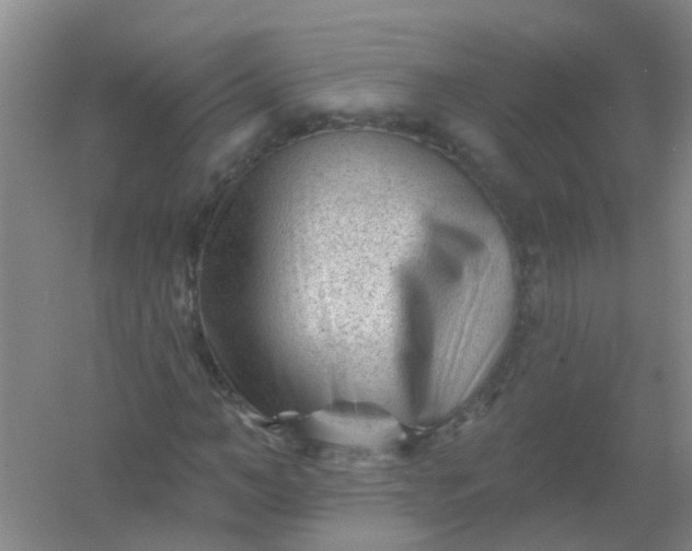 X0000054440966200508121840