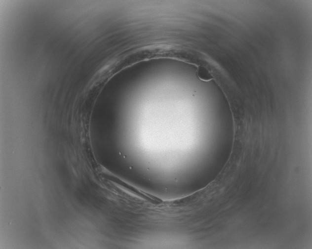 X0000054440967200508121840