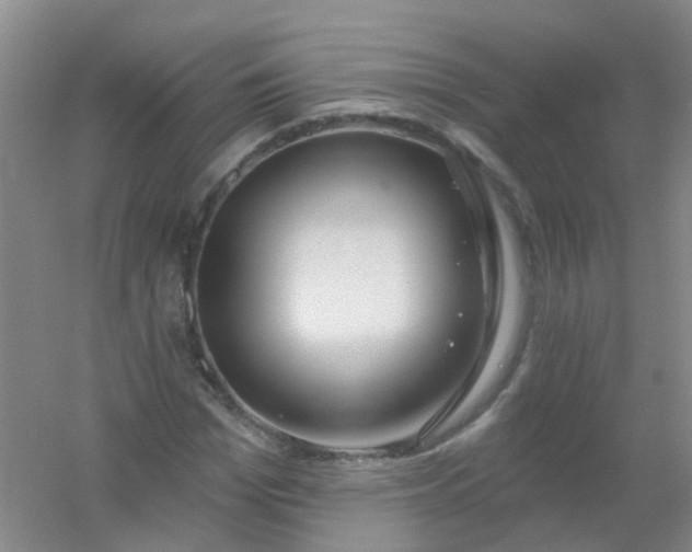 X0000054440969200508121840