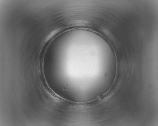 X0000054440970200508121840