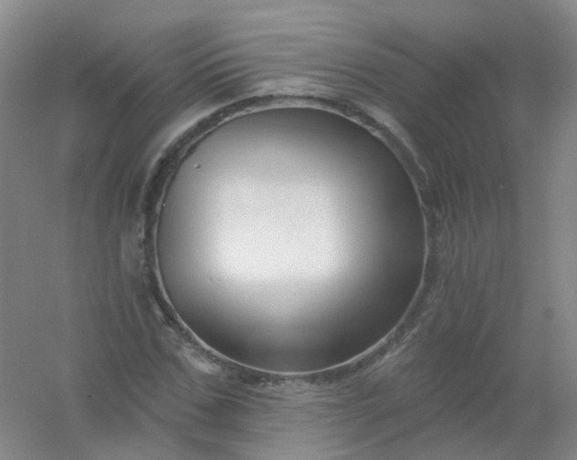 X0000054440971200508121840