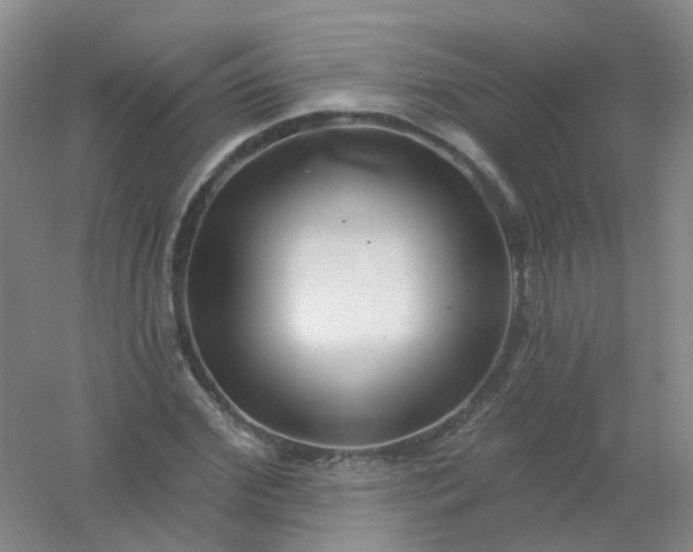 X0000054440972200508121840